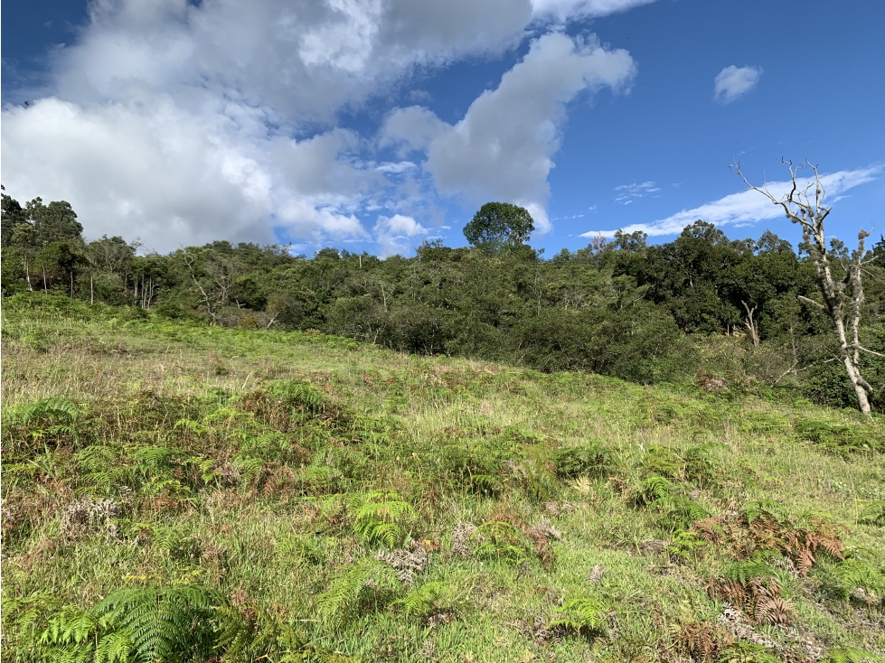 Vereda Llano Blanco 1,7 Hectáreas