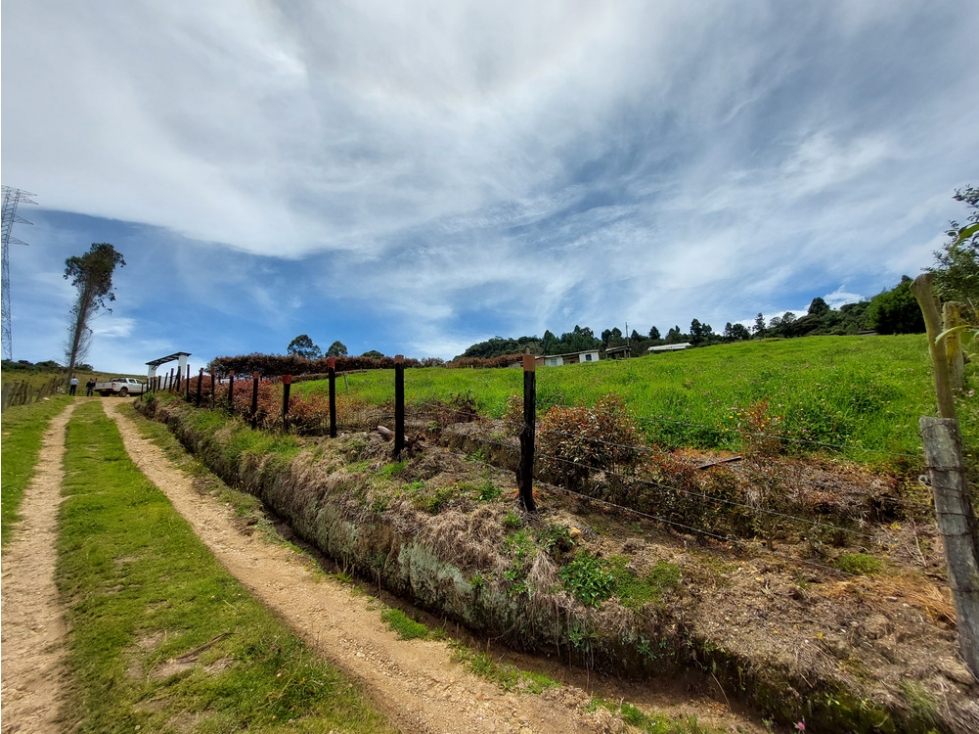 VENDO FINCA EN SUESCA - VEREDA TENERIA