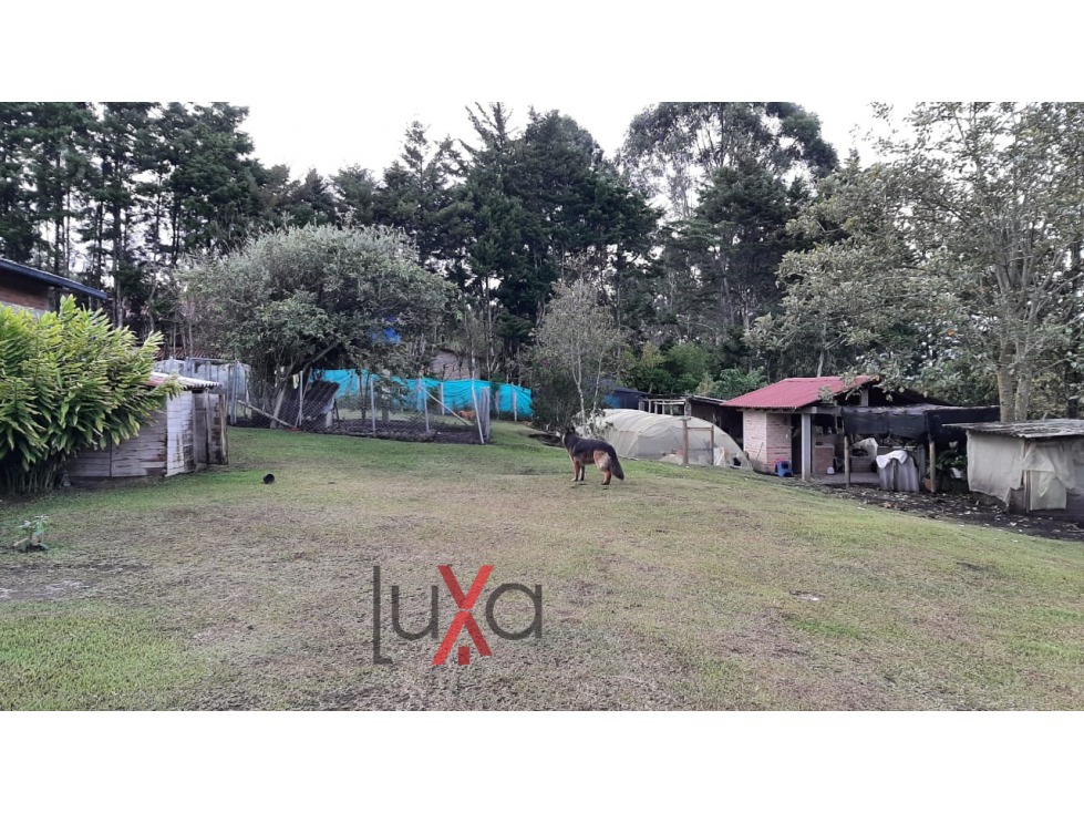 LUXA VENDE FINCA EN LA SABANA - CALIBIO