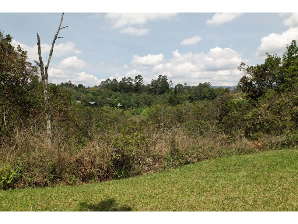 terreno gigante para proyectos en Rionegro cerca del aeropuerto