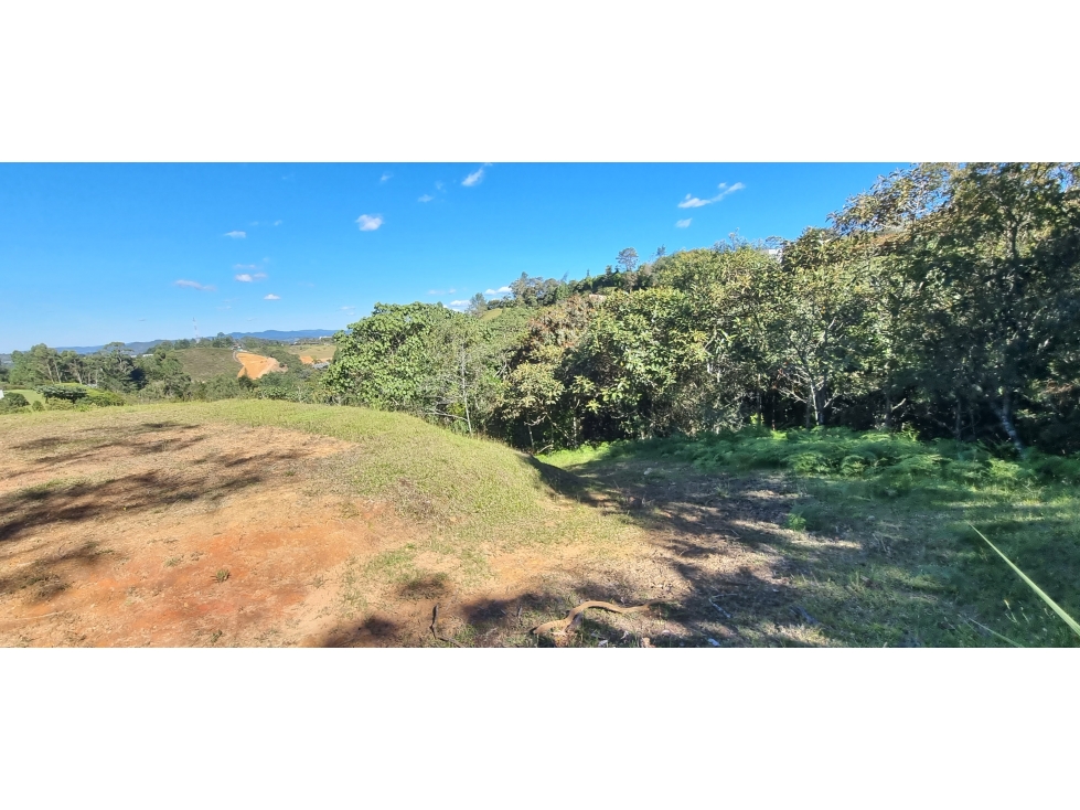 VENTA LOTE BABARIA, ALTO DE LAS PALMAS, ENVIGADO