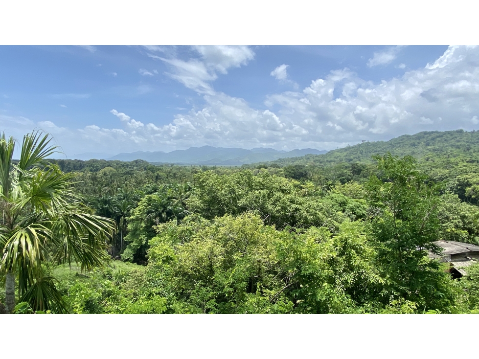 VENTA LOTES FRENTE A RIO EN TAYRONA - MENDIHUACA - GUACHACA - BURITACA