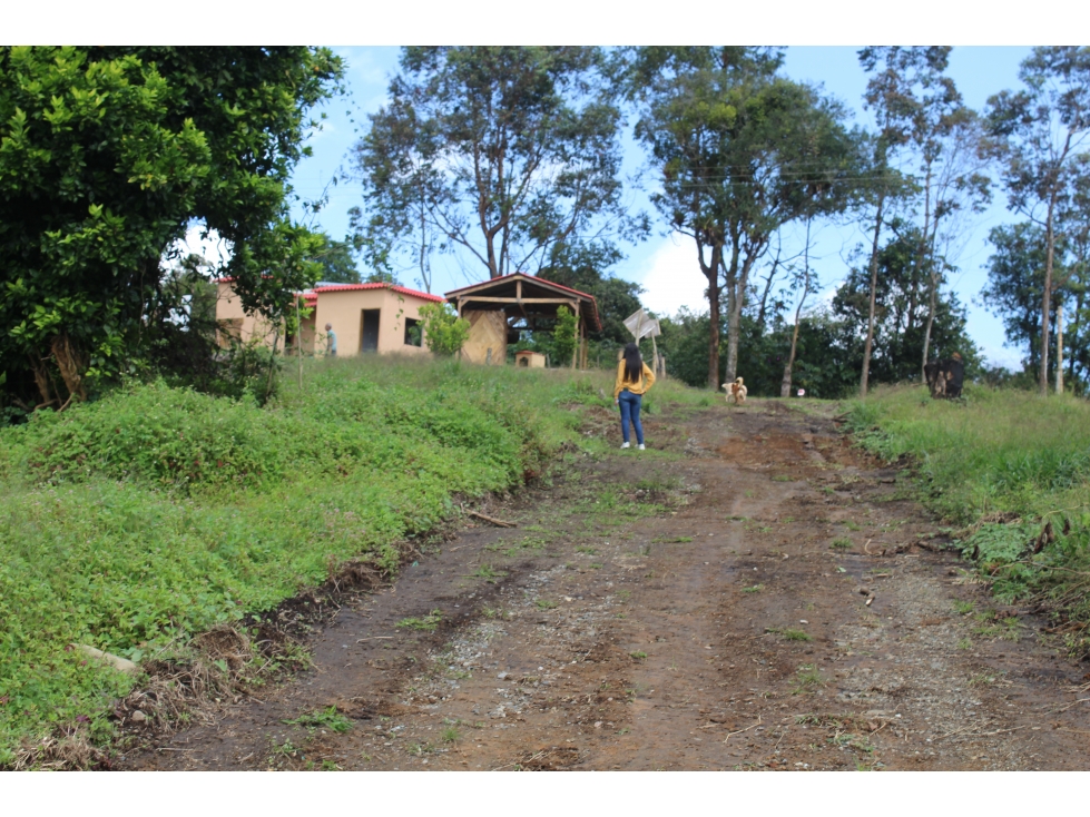 Vendo Lotes Campestre en Piendamo, Cauca