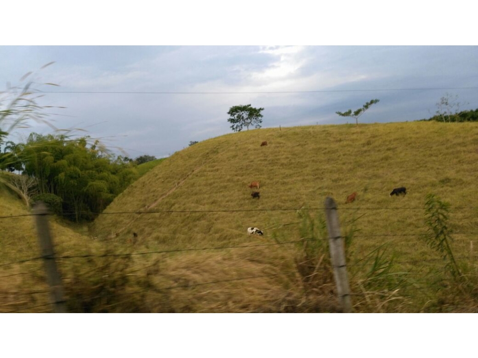 Se Vende Finca via la Virginia - Apia