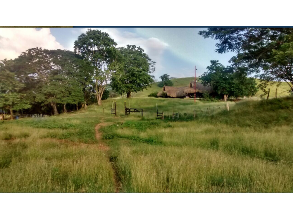 FINCA EN VENTA, EL GUAMO,BOLIVAR