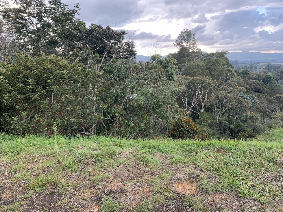 Lote en Rionegro Sector Pontezuela