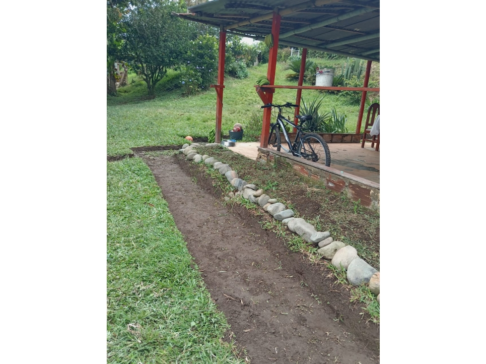 VENTA DE FINCA CAFETERA EN BALBOA -RISARALDA