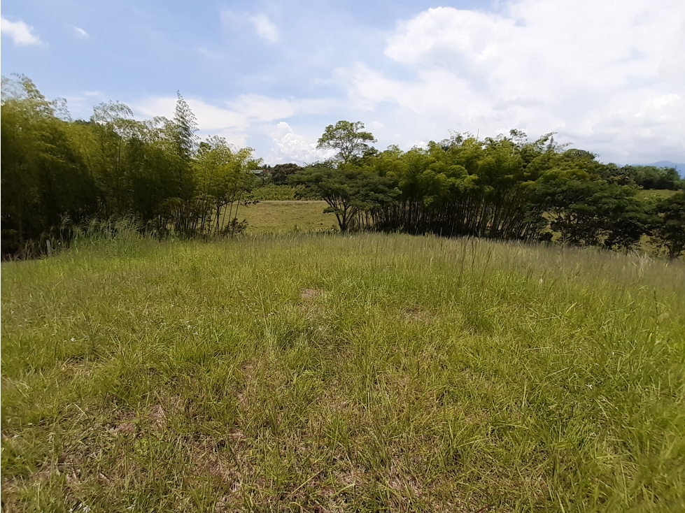 VENTA DE LOTE CAMPESTRE SECTOR CERRITOS