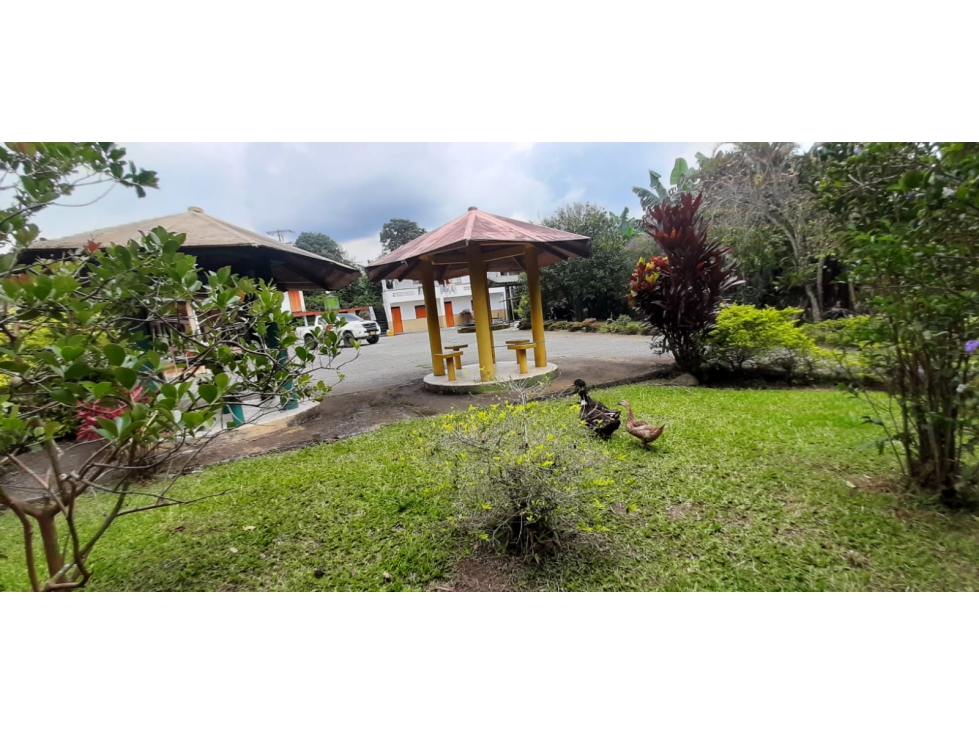 Se vende Finca S. El Caimo - La Tebaida Quindío