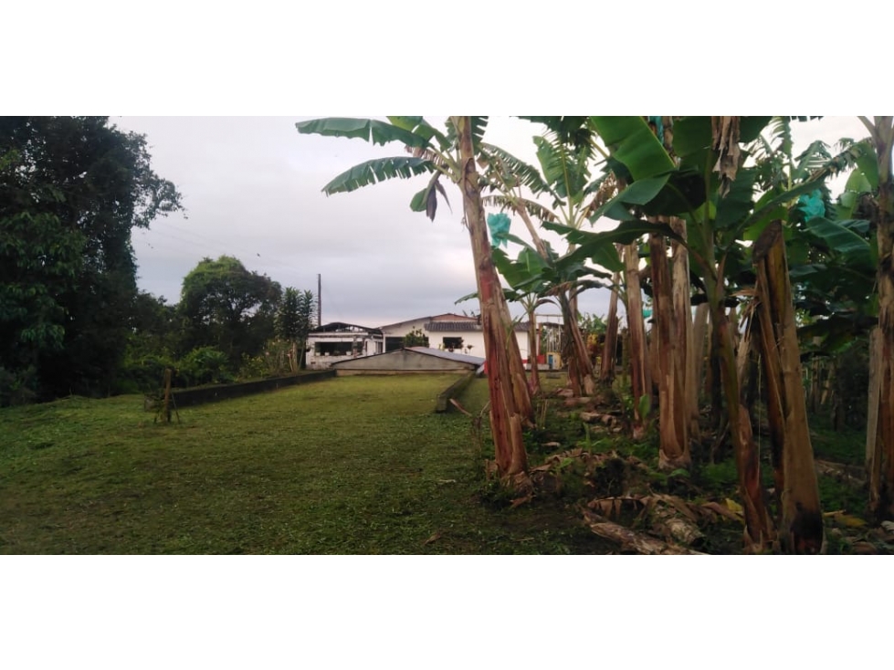 Se vende Finca Quimbaya - Filandia Quindío