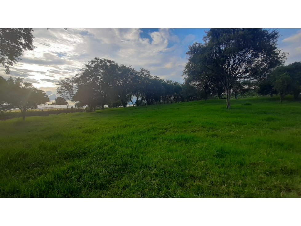 Se vende Lote en el Caimo - Armenia Quindío