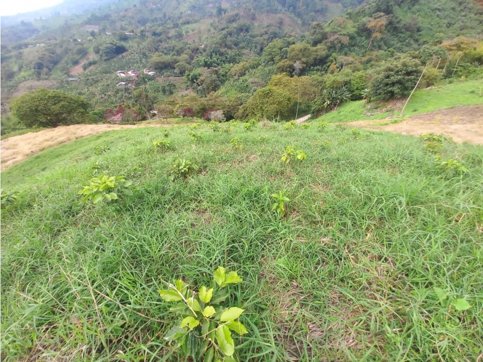 Se vende Finca Córdoba Quindío