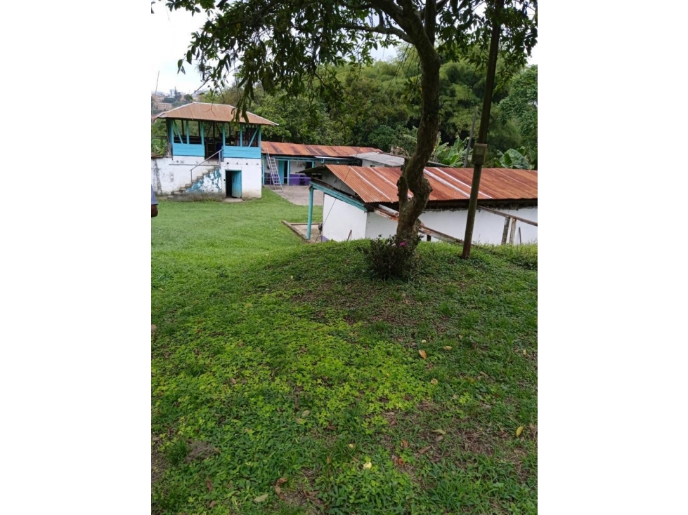 Se vende Finca Vda Bohemia Calarcá - Quindío