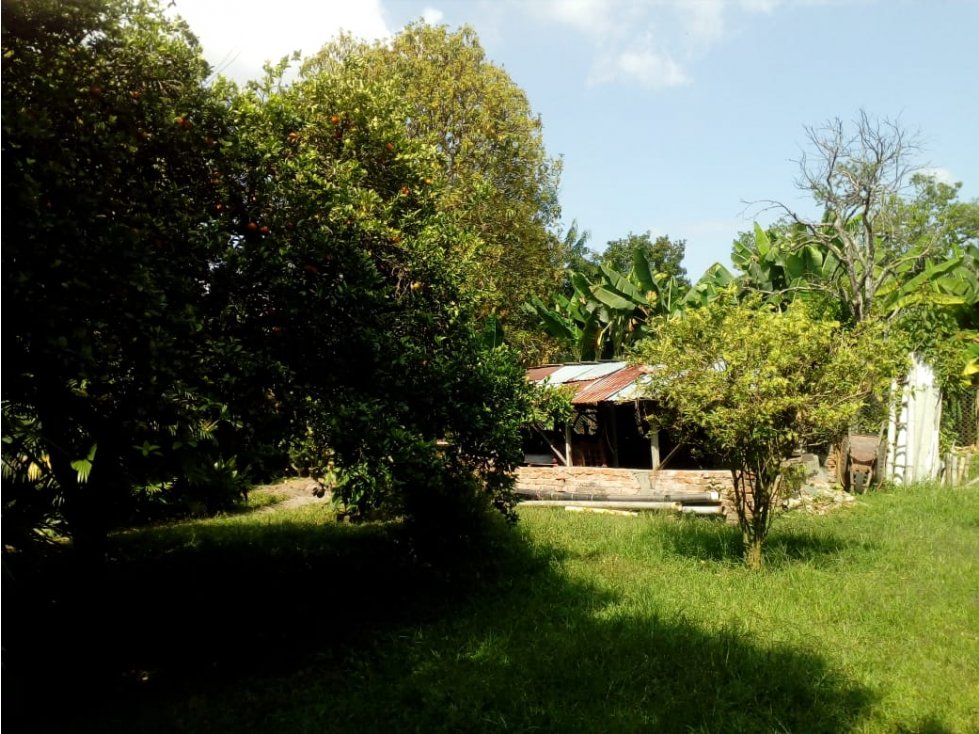 Se vende Finca en La Bella Calarcá