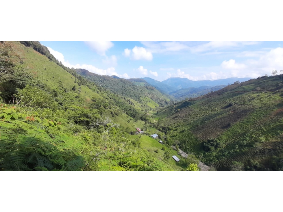 Se Vende Finca en Génova Quindío