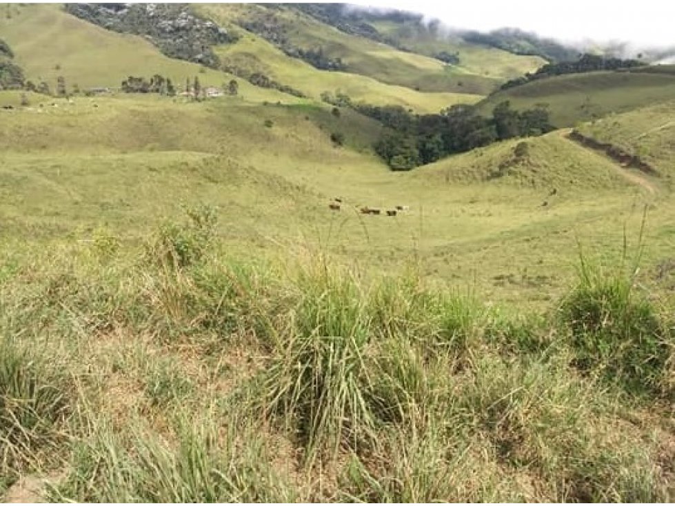 Se Vende Finca 1740 Cuadras En Versalles Valle