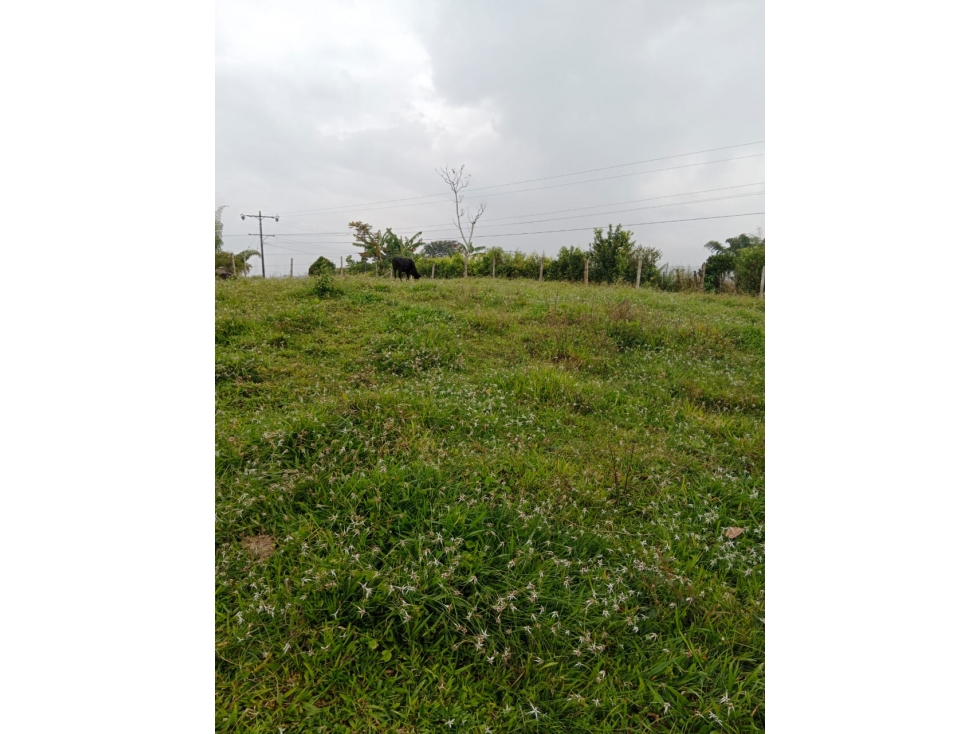 Se vende Lote Alcalá  - Filandia Quindío