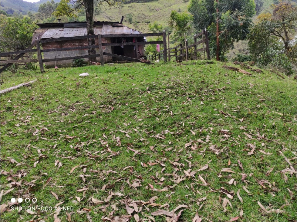 Se vende Finca Génova Quindío