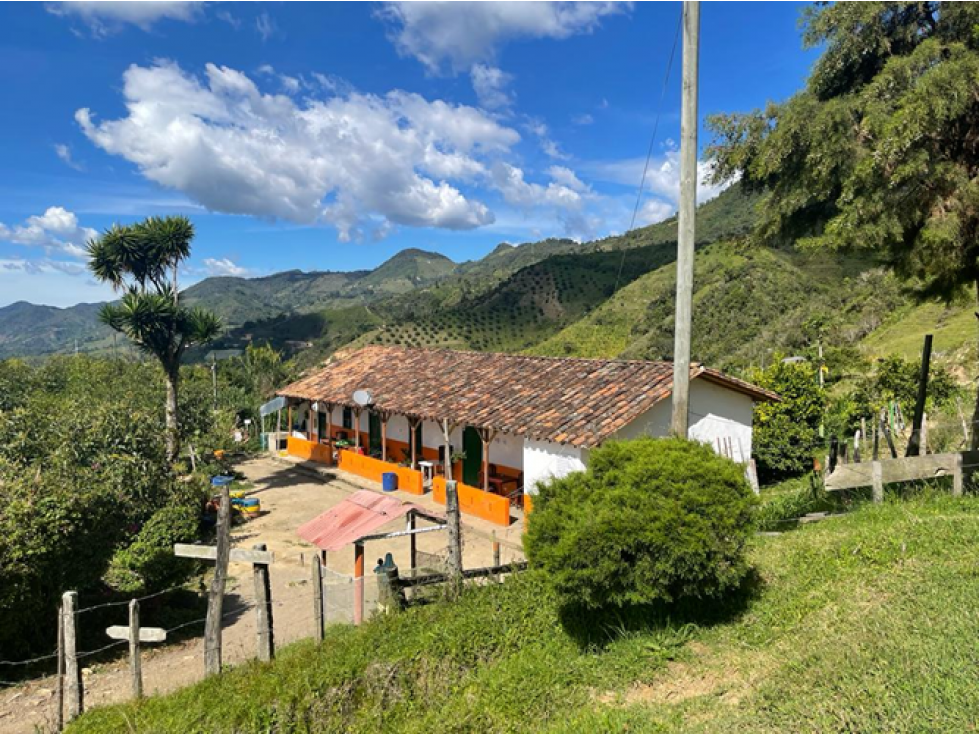 Finca productora en venta Barbosa Antioquia