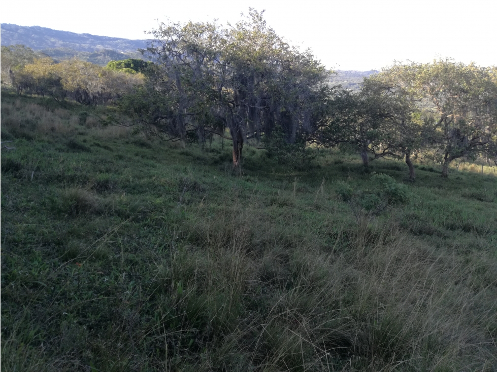 VENTA  FINCA CHIPATA SANTANDER