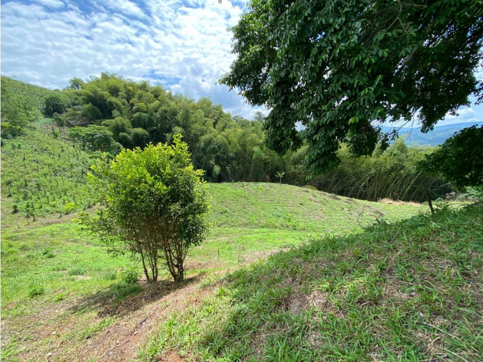 VENTA LOTE PALESTINA, MANIZALES