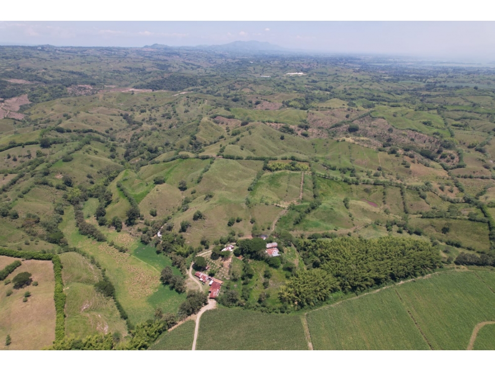 Se Vende Finca Ganadera Caimalito-La Virginia, Risaralda