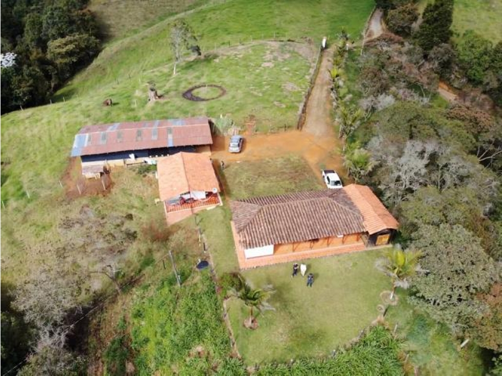 L-148 LOTE INDEPENDIENTE CON CASA (Vereda Piedras Blancas)