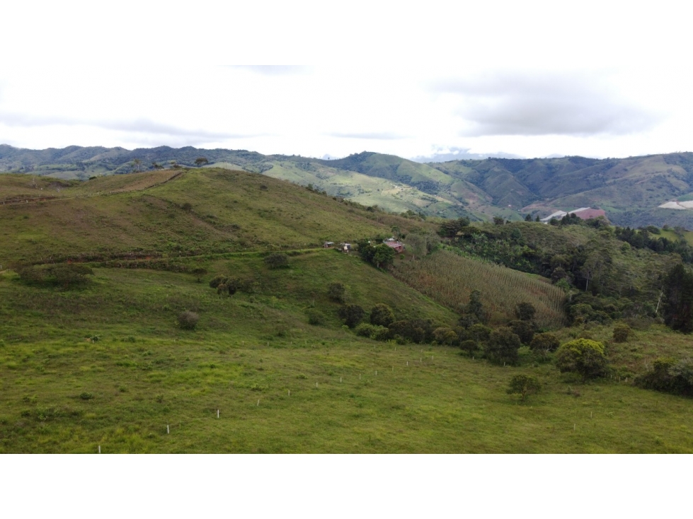 VENTA LOTE LA CUMBRE VEREDA JIGUALES