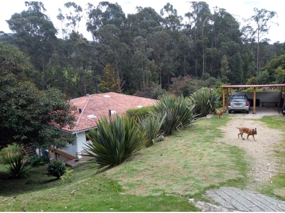 Casa Tabio Patro