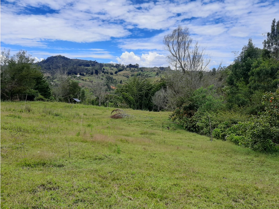 Venta de lotes en Marinilla vereda El Rosario