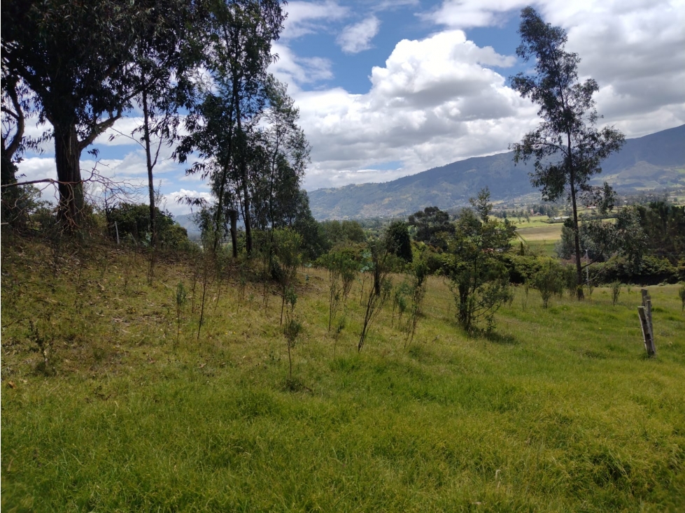 LOTES EN VENTA TENJO CUNDINAMARCA