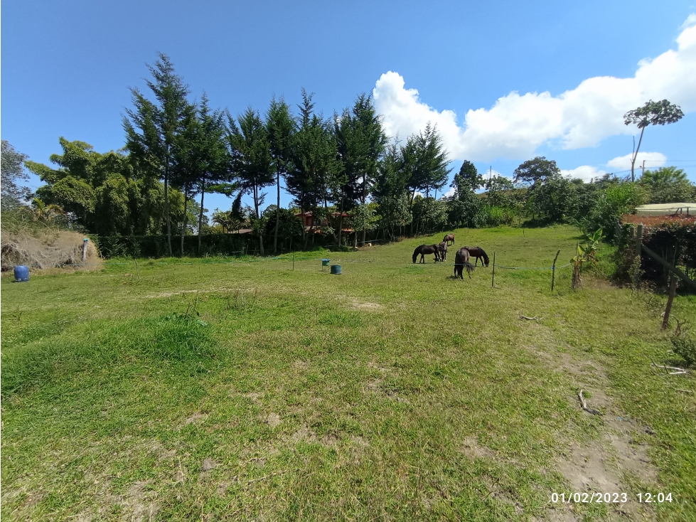 Lote para la venta en La Ceja - Vía la Ceja