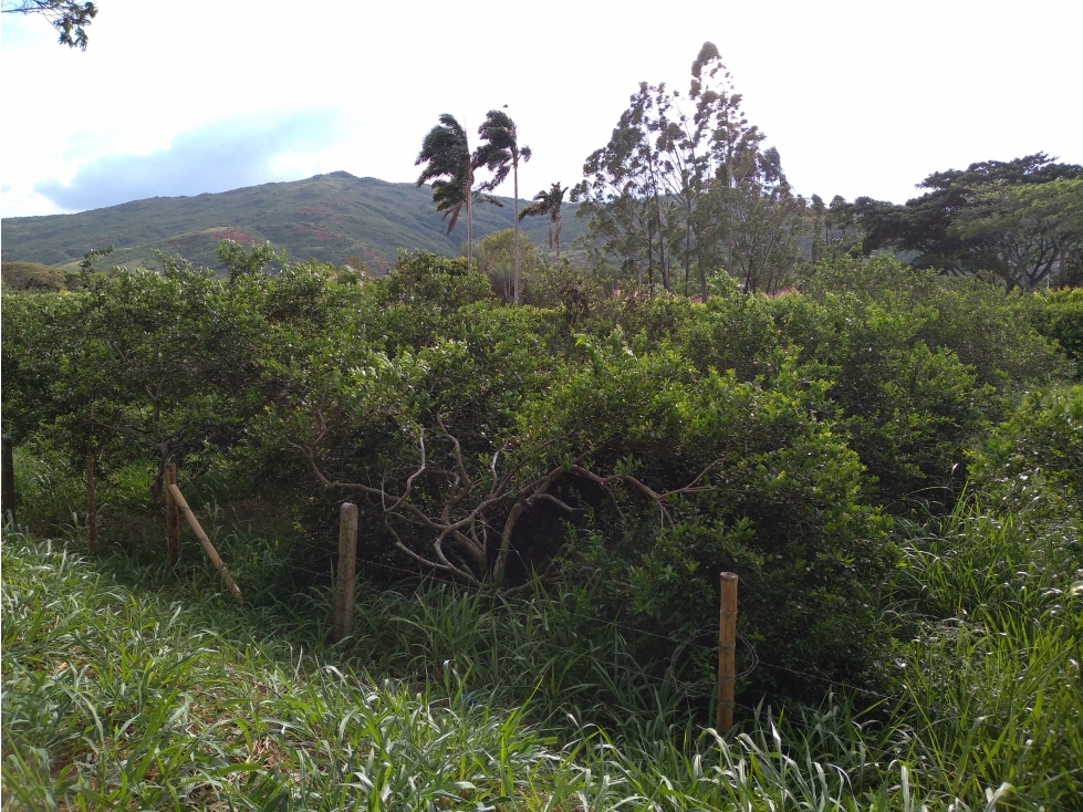 Lote urbanizable en Huasanó