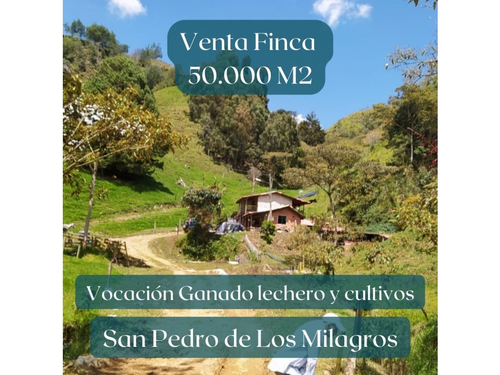 Venta Finca San Pedro de los Milagros Vereda La Apretel