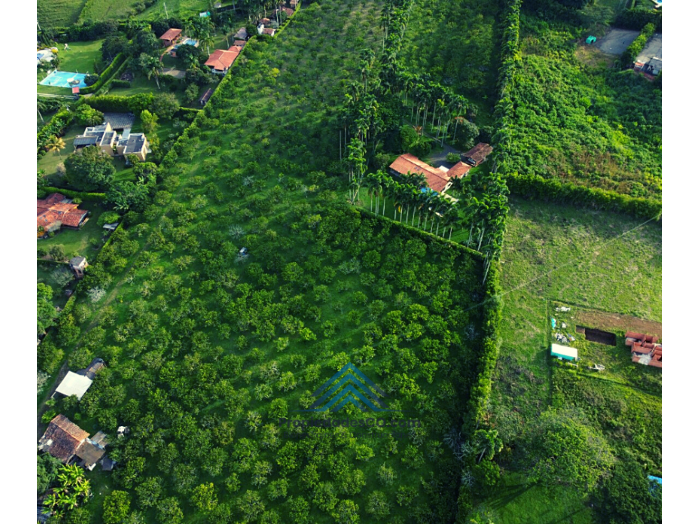 Lotes Campestres en Cerritos Risaralda