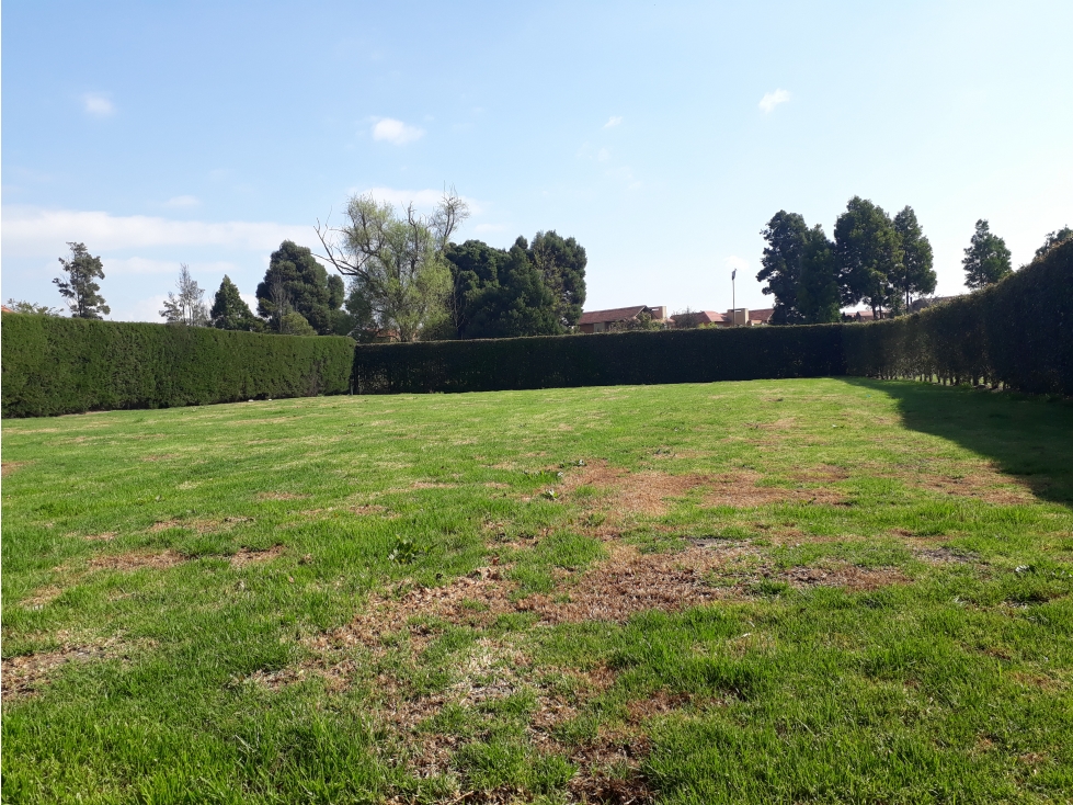 Venta Lote Santa Ana de Chia