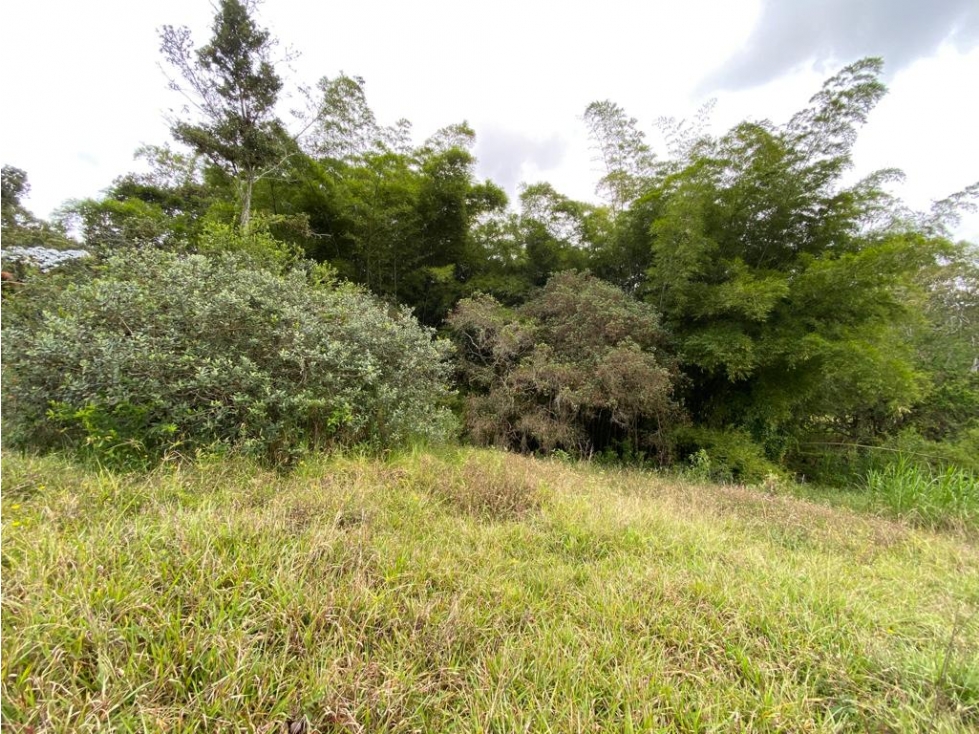 Lote en venta,Oriente antioqueño,llano grande guayabito, Rionegro