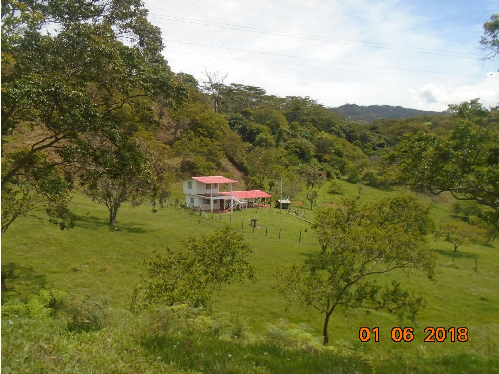 Se vende finca Vereda Bajo Semisa,Puente Nacional,Santander