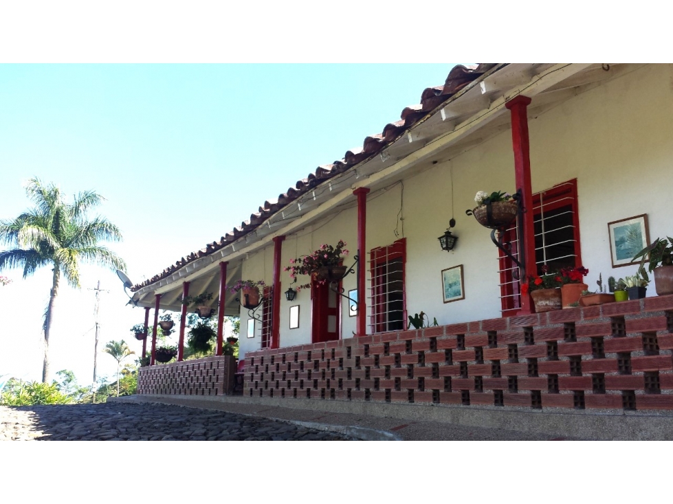 Venta Finca en Fredonia Antioquia, Vereda El Zancudo, 38.400 mts