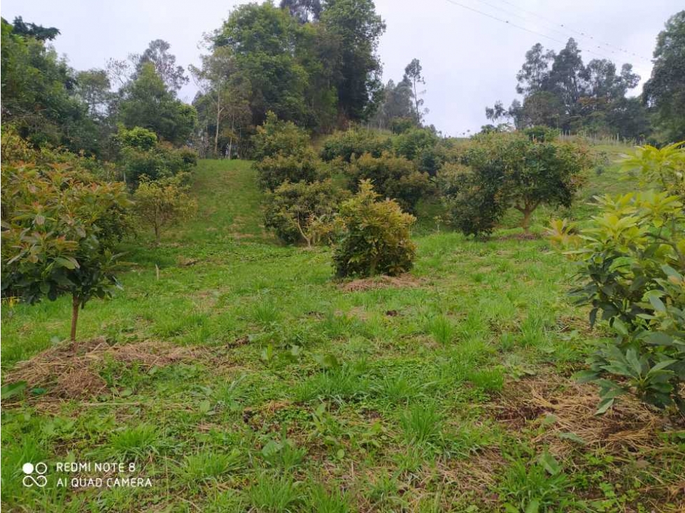 Casa lote en venta en San Bernardo Cundinamarca a 30 minutos del Puebl