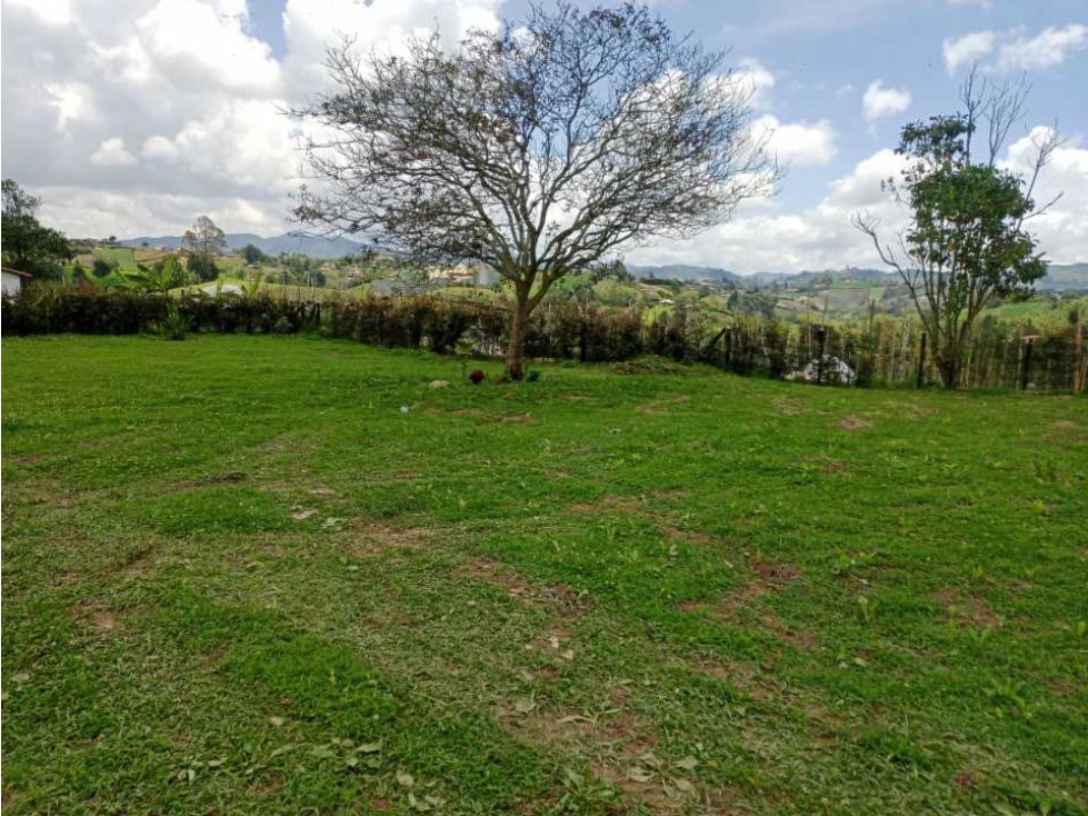 DIVINO LOTE EN VENTA EN LA VEREDA ALTO GRANDE - EL CARMEN VÍBORAL ANT.