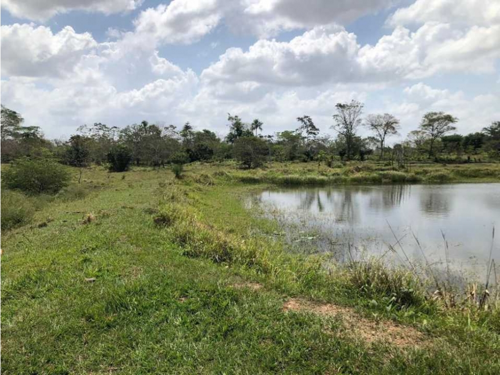 En venta 8 hectáreas a 10 minutos de Monteria vía P. Rica