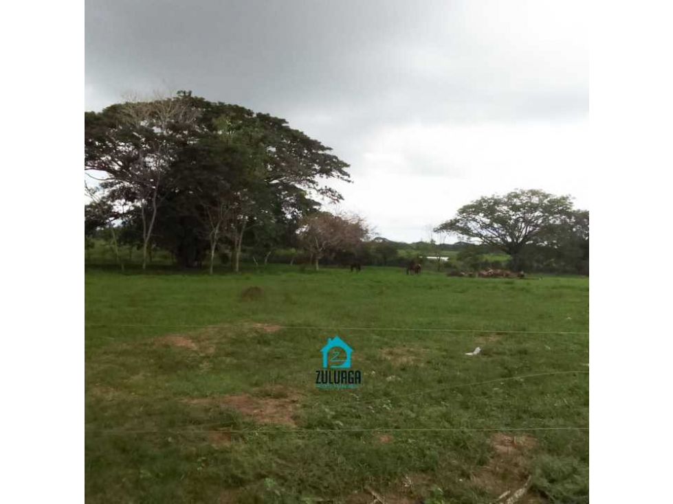 En Venta Finca de 3 Hectáreas en Mompox, vía a Tierrafirme