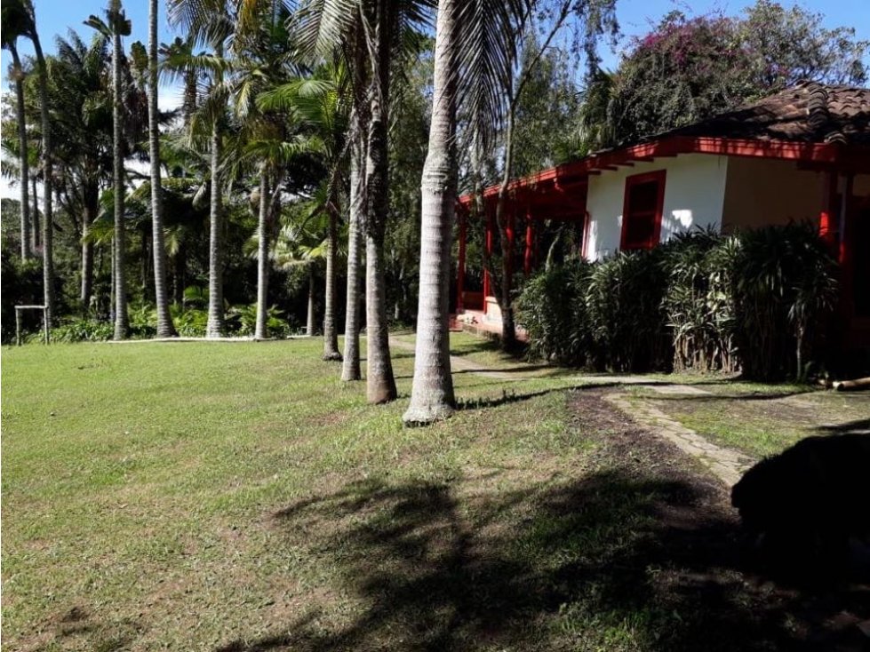 ENCANTADORA FINCA EN VENTA VEREDA AGUAS CLARAS EL CARMEN DE VIBORAL