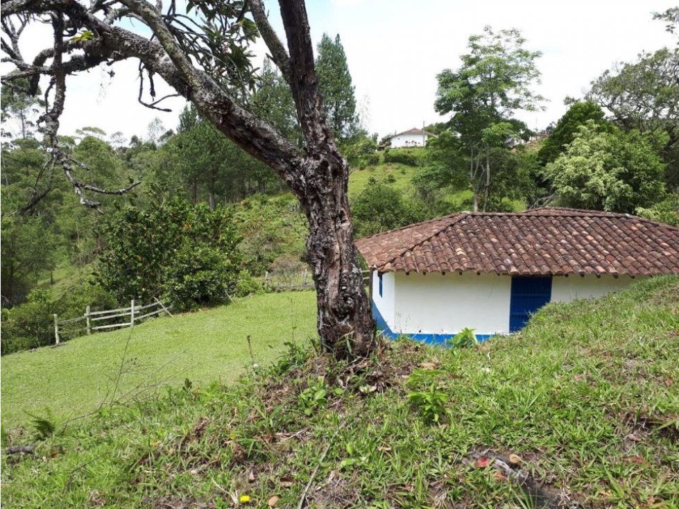 ESPECTACULAR FINCA CAMPESINA VDA. LAS CUCHILLAS DE SAN JOSÉ, RIONEGRO