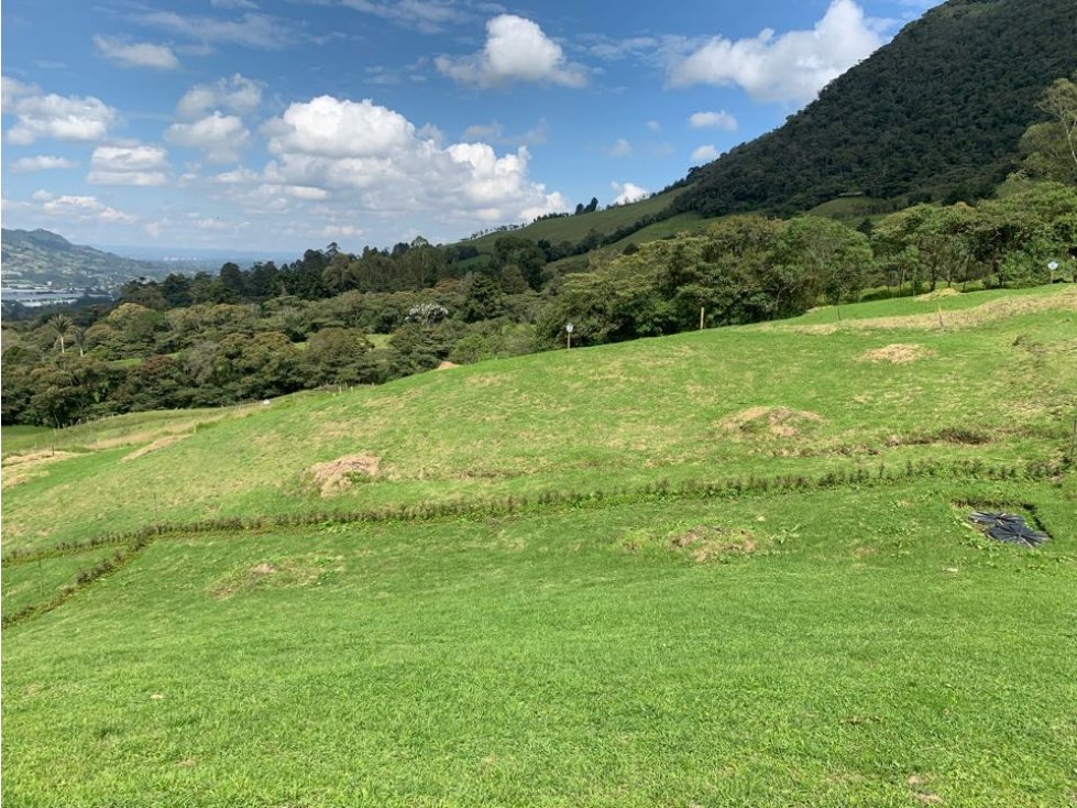 Espectaculares lotes en La Ceja desde 1280mts precio de lanzamiento