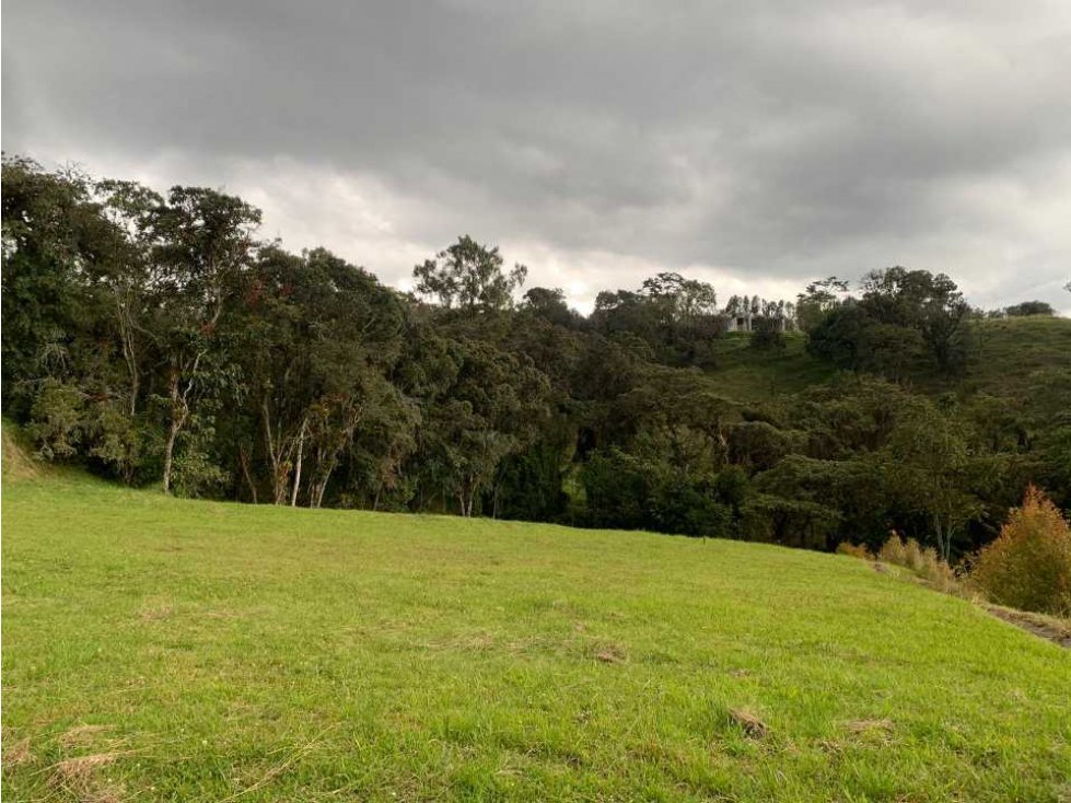 Exclusiva parcelacion en el Alto de las Palmas, lote de  2.644 mts.