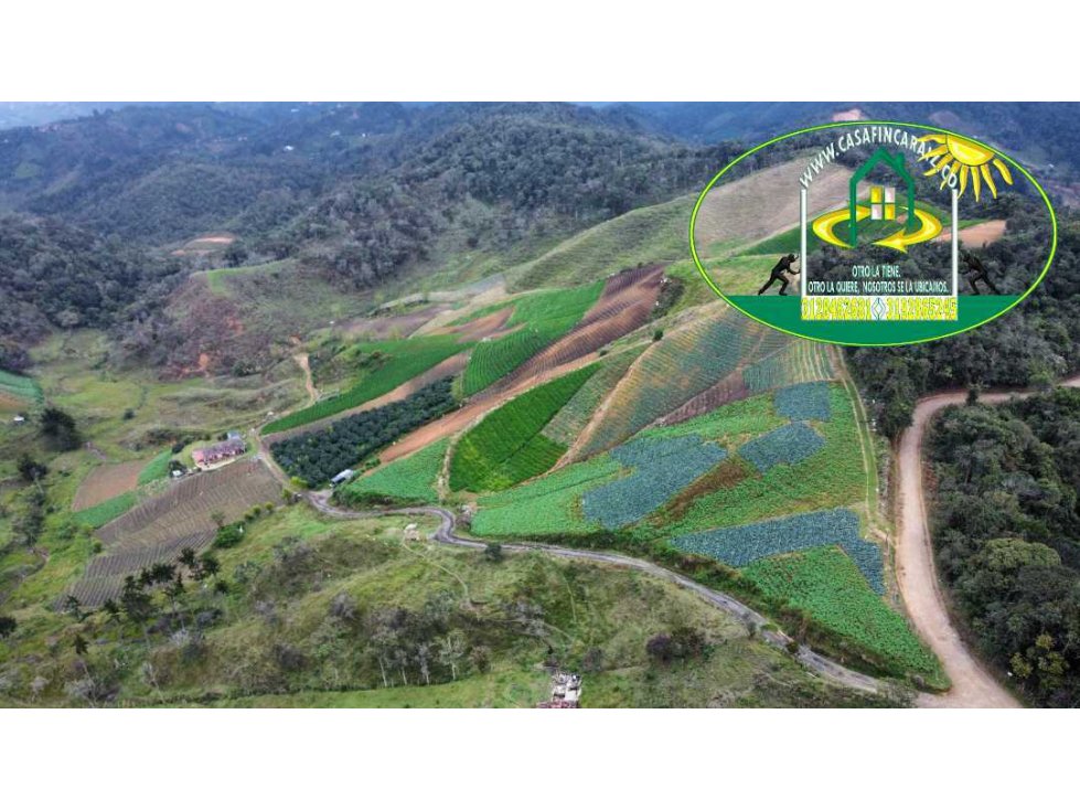 Finca agrícola productiva o ganadera de 40 hectáreas en el santuario