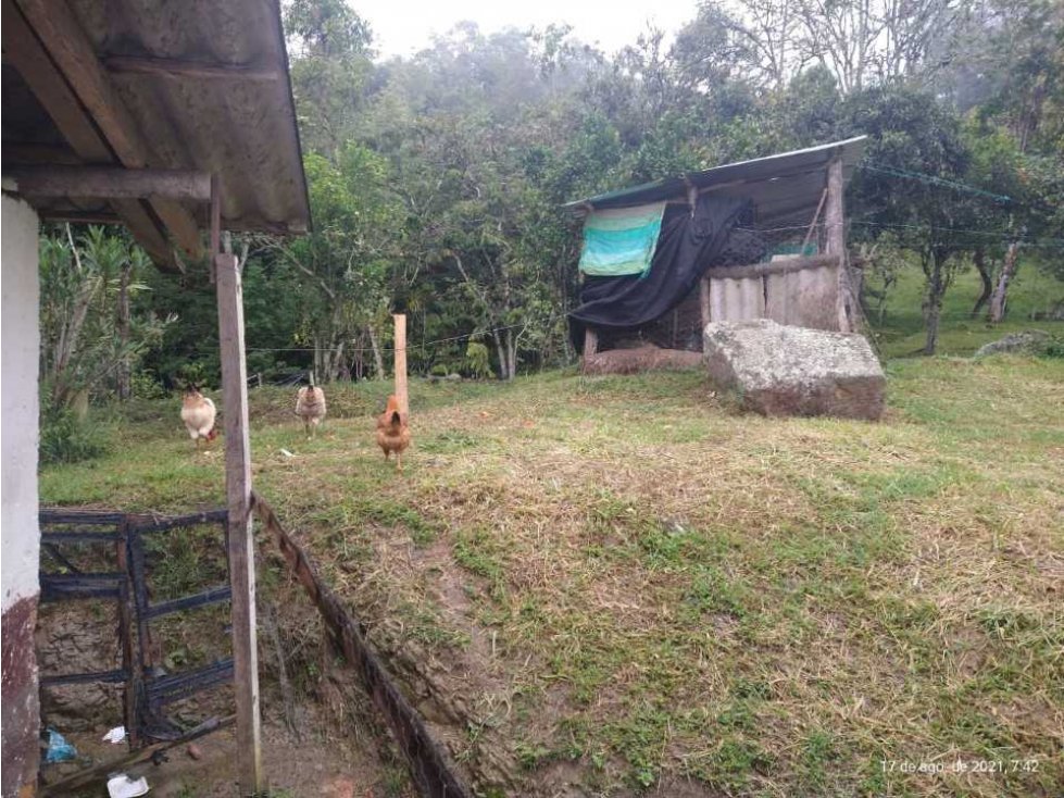 Finca Cerca A La Zona Urbana