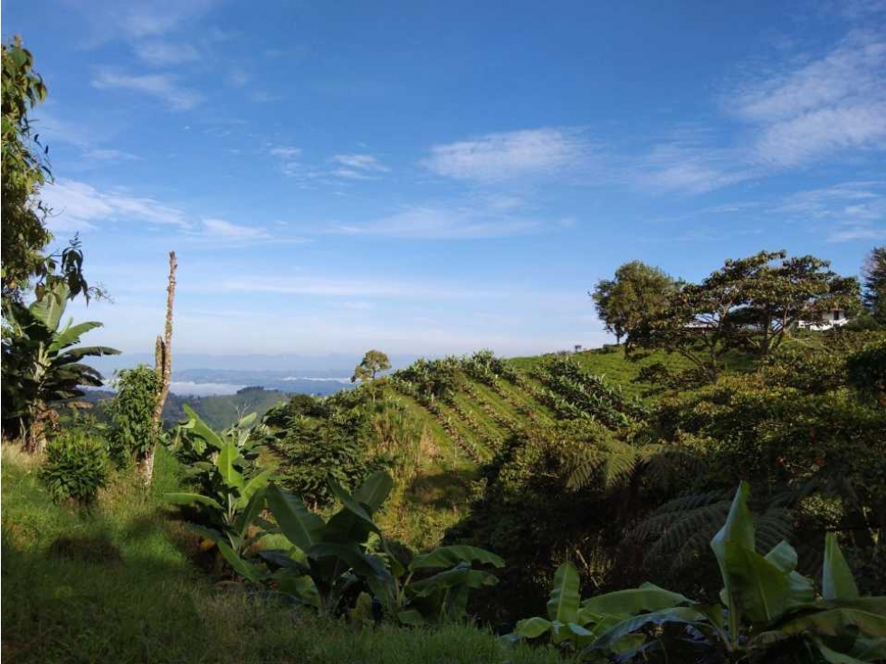 Finca con espectacular vista panorámica con vocación turística